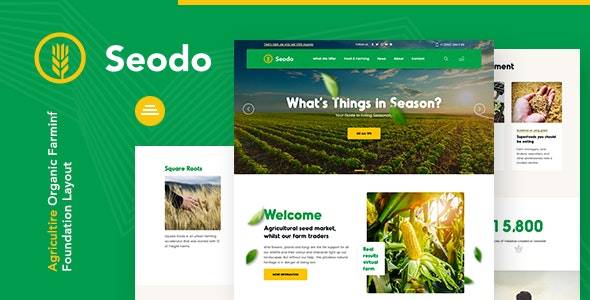 Seodo – v1.0.1 Agriculture Farming Foundation WordPress Theme Download