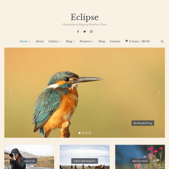 Eclipse WordPress Theme WPZoom v1.0.10 Download