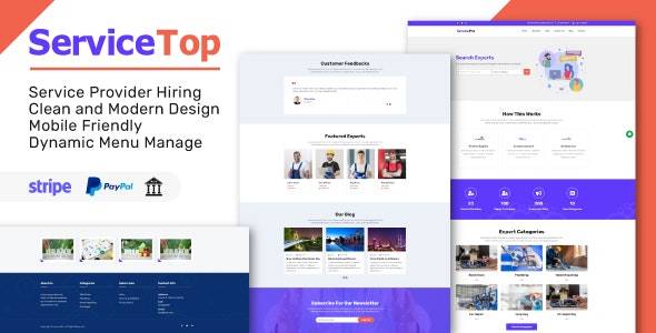 ServiceTop v1.1 – Professional Service Selling Marketplace Download