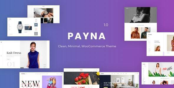 Payna Clean Minimal WooCommerce Theme Download