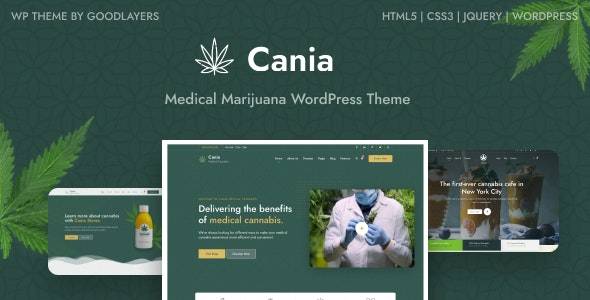 Cania v1.0.3 – Marijuana Medical WordPress