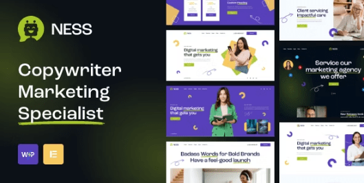 Ness v1.0 – Marketing Agency & SMM WordPress Theme