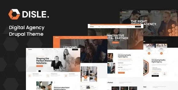 Disle v1.0.3 – Digital Agency WordPress Theme